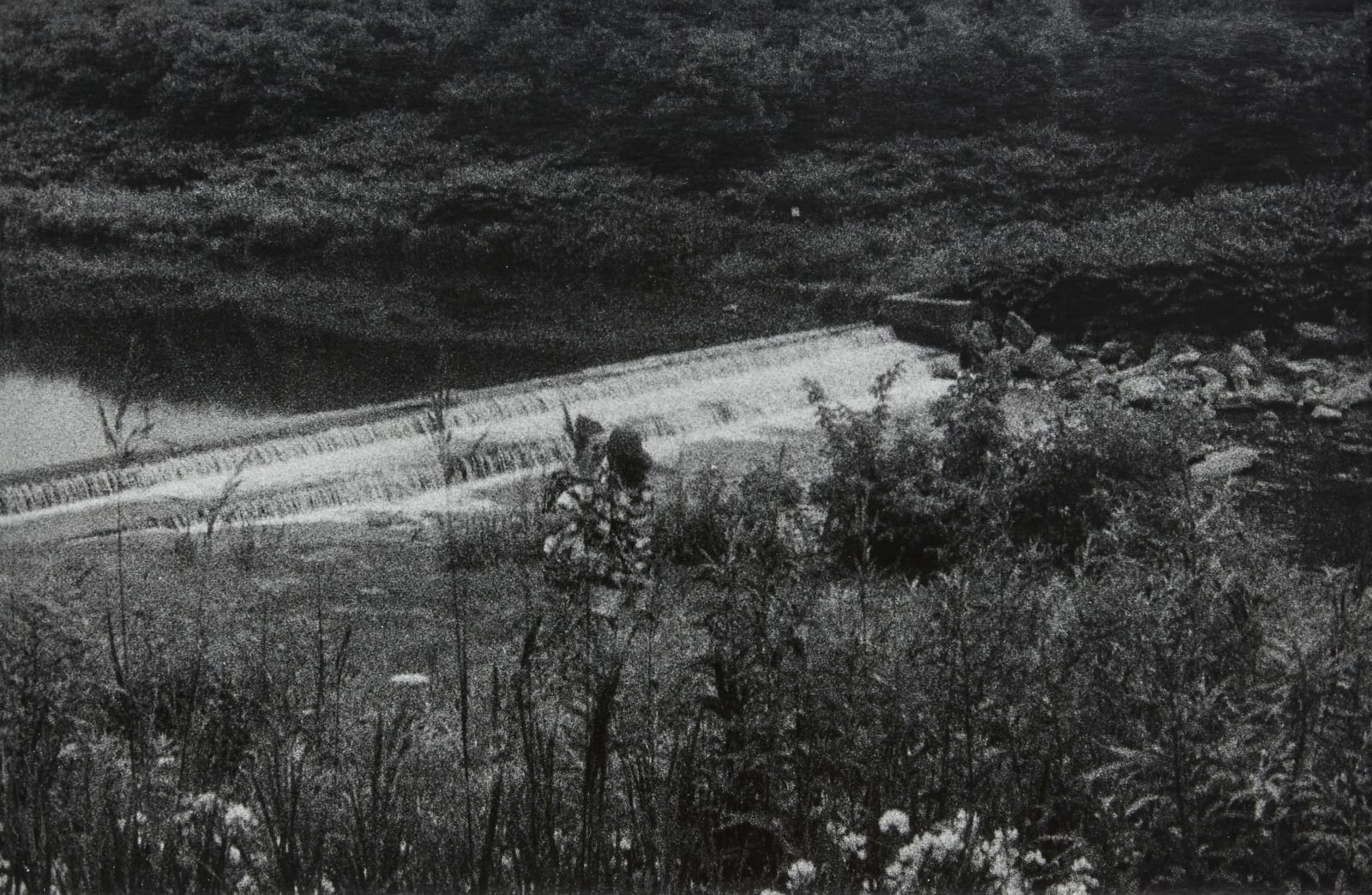 Em Rooney, Tony and Marci Kissing Near the Schoharie River, 2020