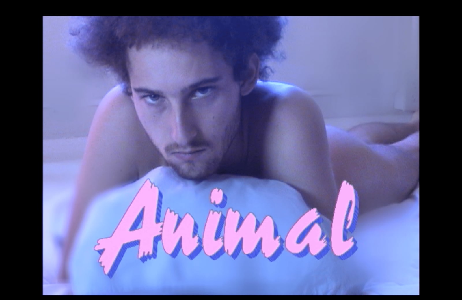 Mike Kuchar, Animal, 2009