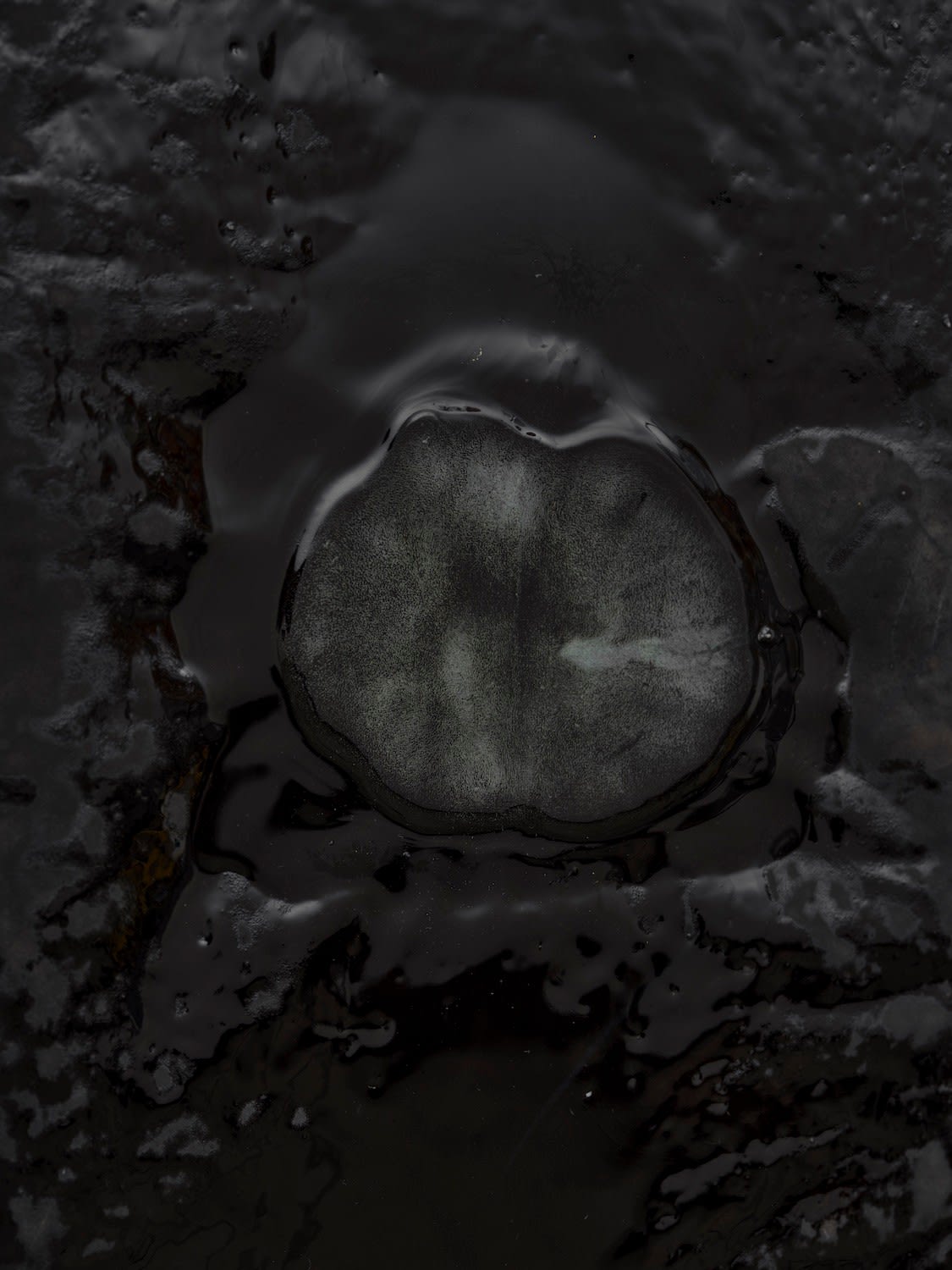 Rindon Johnson, Involuntary smeyes (like puckering), 2022