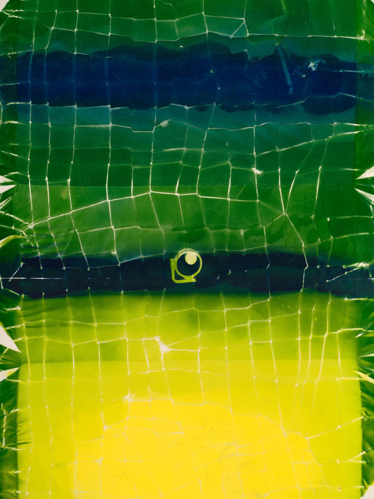 Maia Ruth Lee, B.B.Earth, 2024