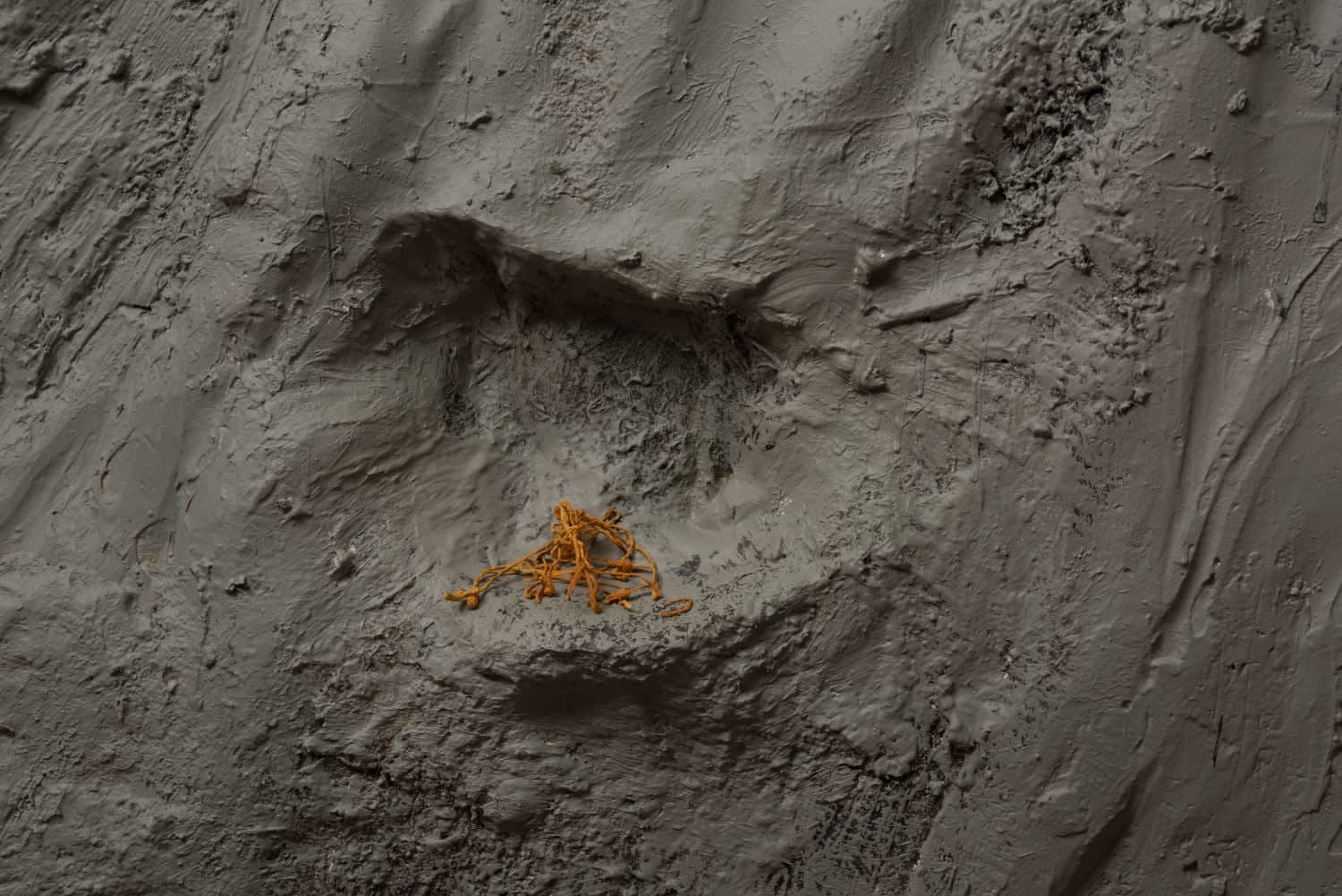 Candice Lin, You Are a Parasite, 2015