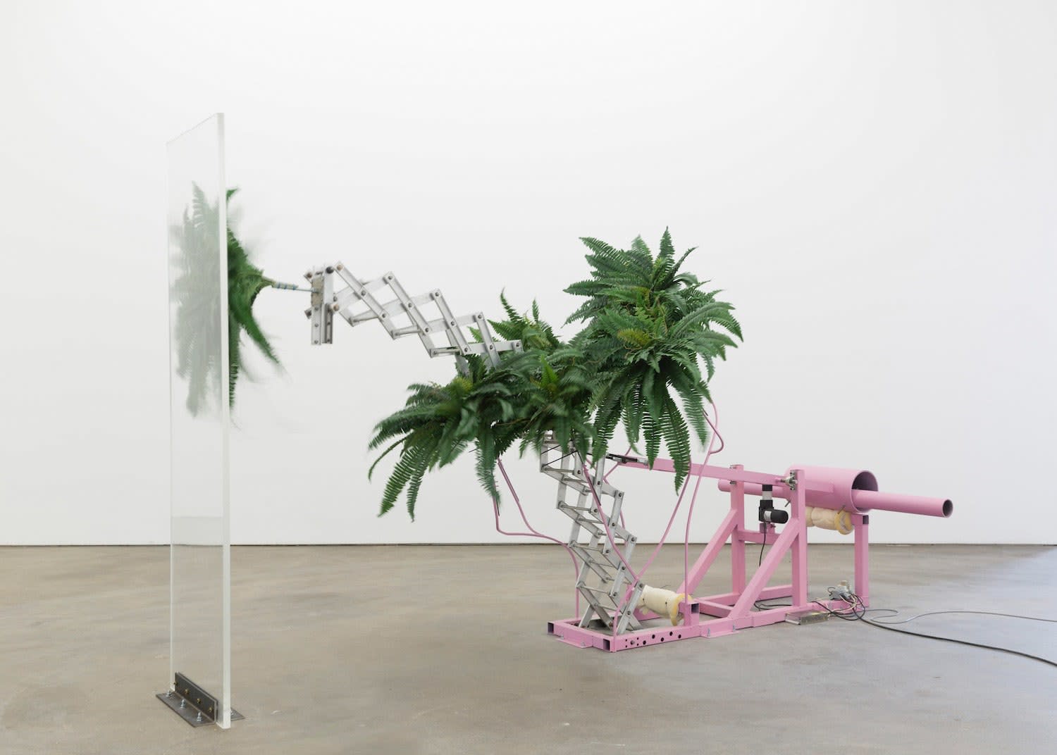 Dorian Gaudin, Personal Goals, 2019