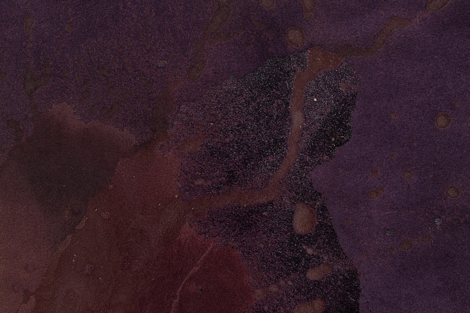 Rindon Johnson, Some g are not b. Against the capital I met a lion, who gazed upon me and went surly by without annoying me and yesterday the bird of night did sit even at noon day upon the marketplace hooting and shrieking something like ear me or drink or take me within you and I said that's what I can do., 2021