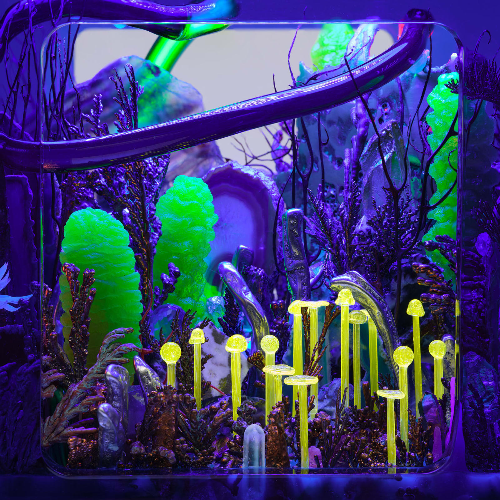 Max Hooper Schneider, SATURN ANAMNESIS, 2024