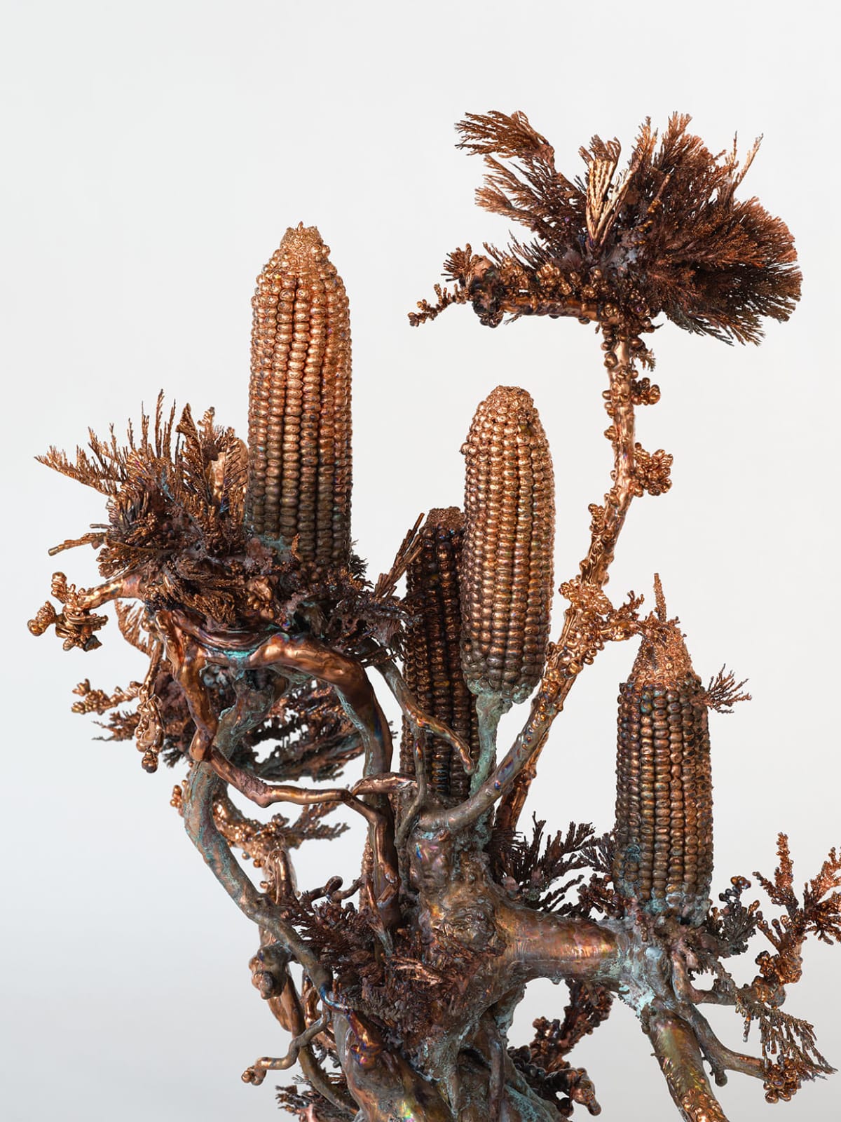 Max Hooper Schneider, Dendrite Bonsai (Corn), 2023