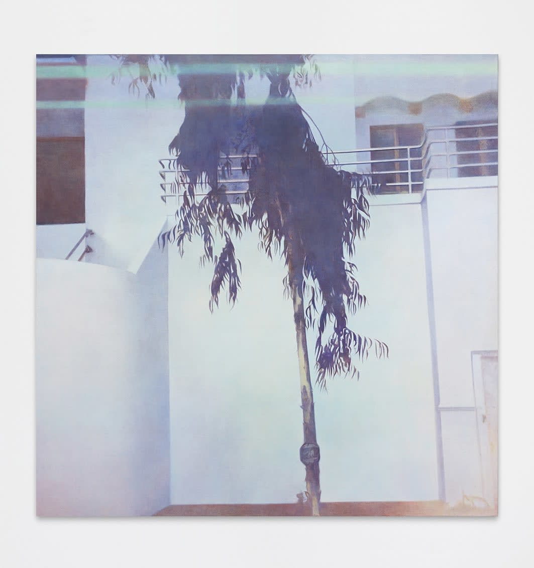 Becca Mann, Hillside, 2018