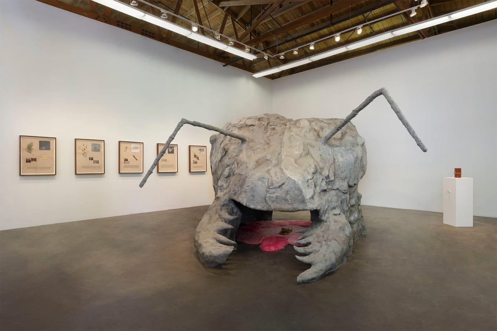 Candice Lin, You Are a Parasite, 2015