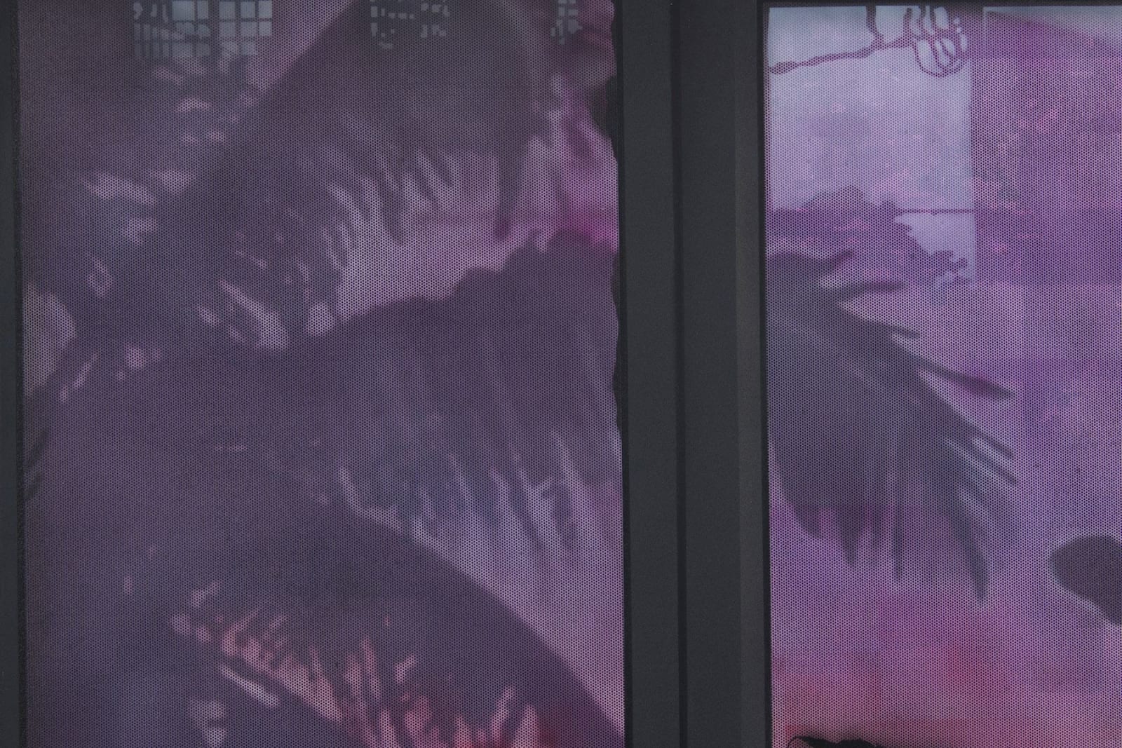 Sayre Gomez, Behind Door #2, 2017