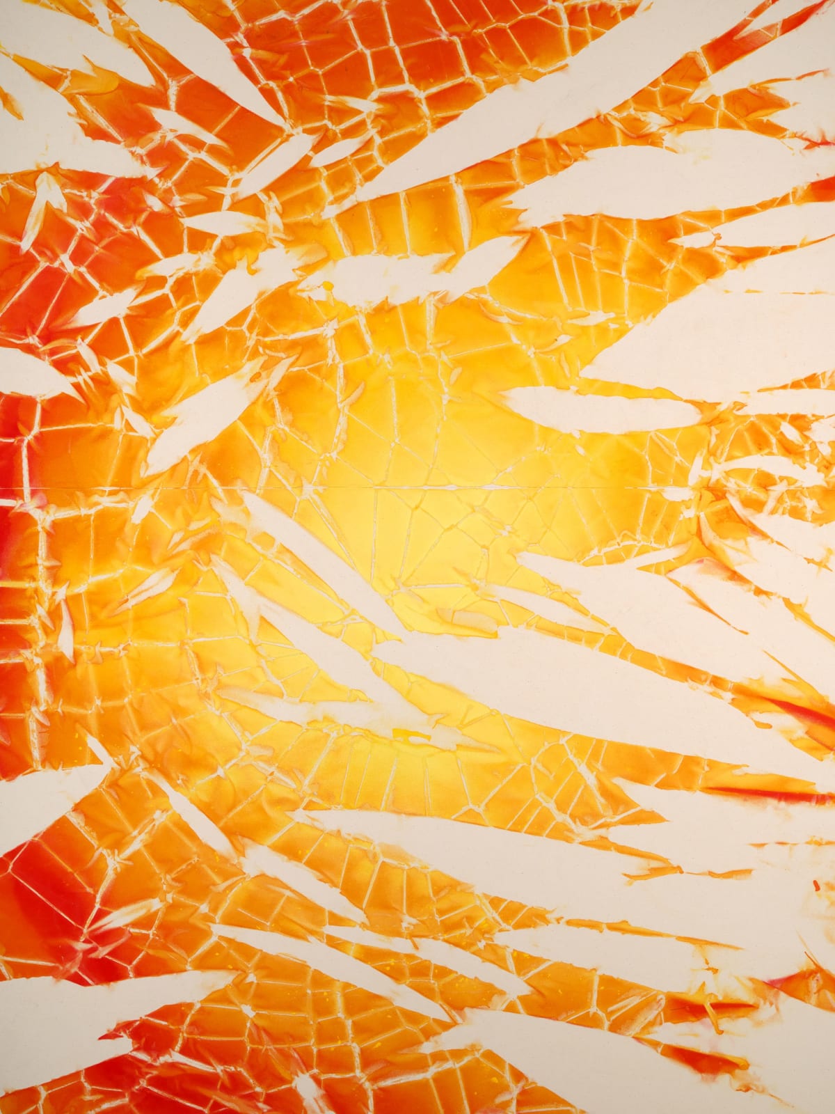 Maia Ruth Lee, B.B.SUN, 2024