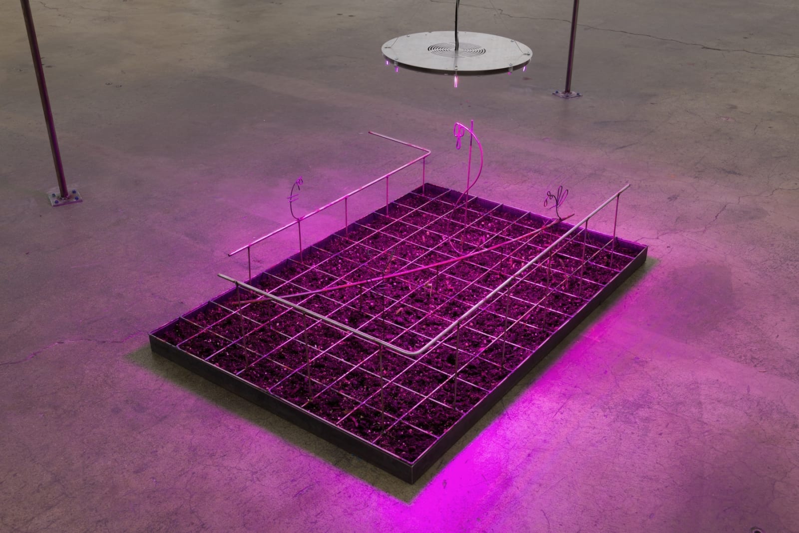 Florian Meisenberg, Department of Internal Affairs (The Taste of Metal in Water), 2018