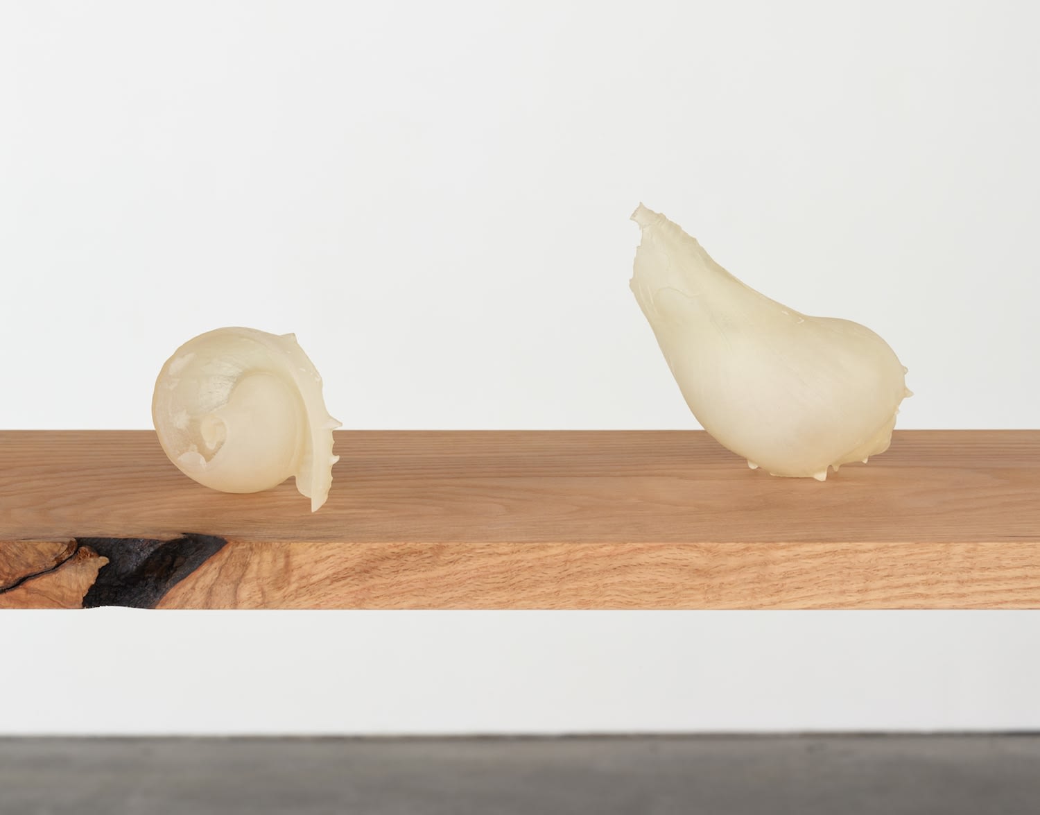 Kelly Akashi, Spirit Complex, 2019