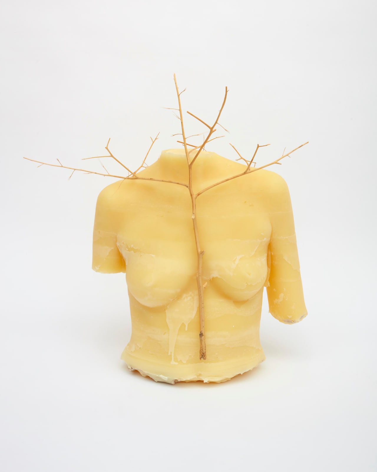 Kelly Akashi, Heirloom, 2021