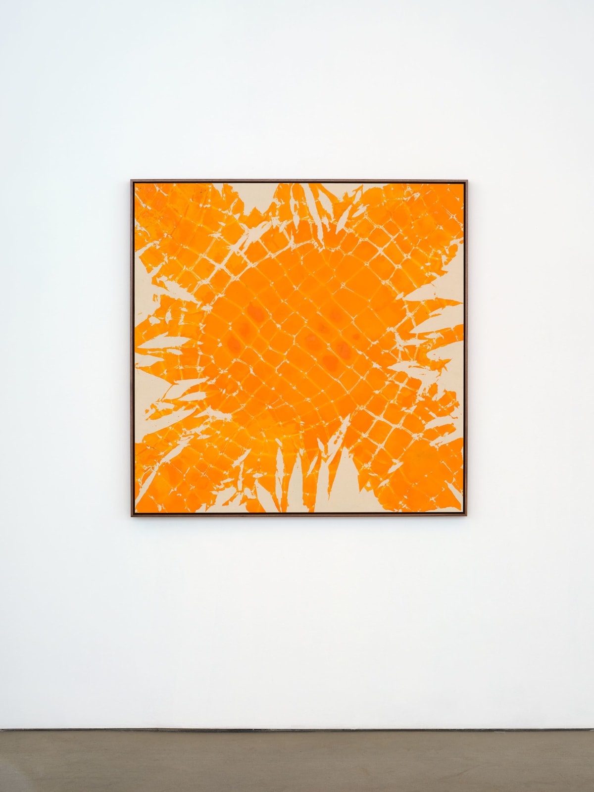 Maia Ruth Lee, B.B.M 42 Marigold, 2023