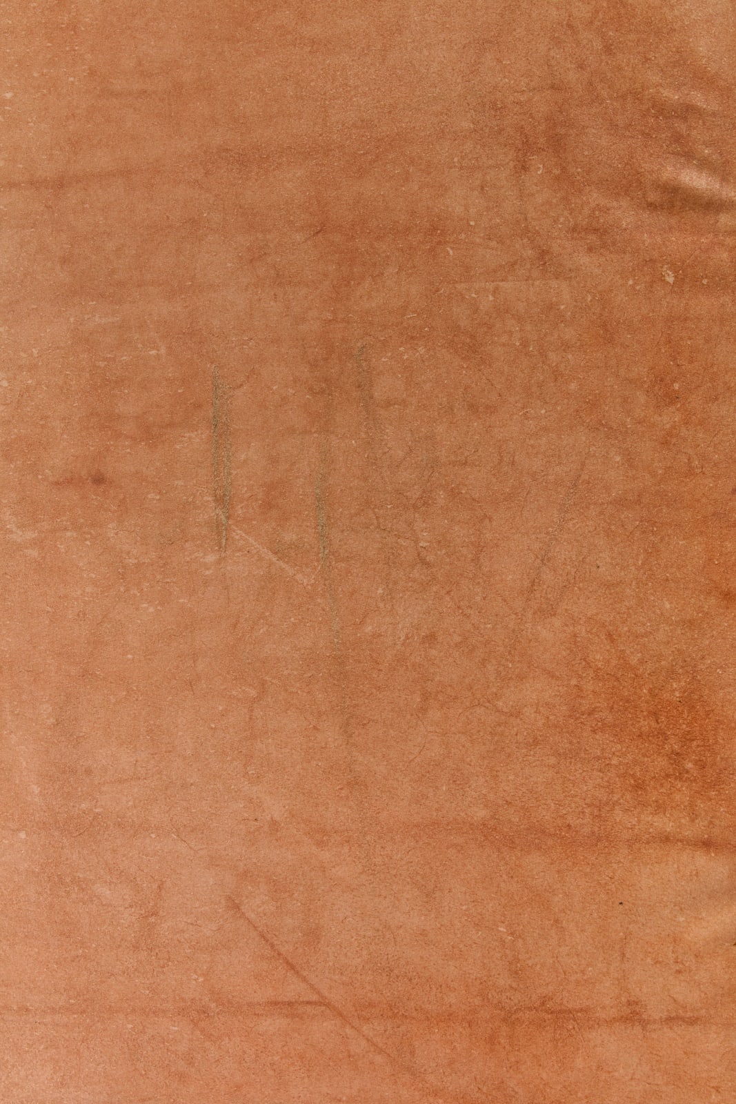 Rindon Johnson, Outside I have never been lonesome, Always a fence, a plank, an eyebrow in the ocean, A baby received in a house, anything tall is a tree, The sky rearranges itself in the desert, The sky rearrange itself in the water, The sky rearrange itself while I am in the sky, How lucky I thought I was to see the street lights turn on, Clouds like rows of planting, mistakes we make and agree to continue., 2021