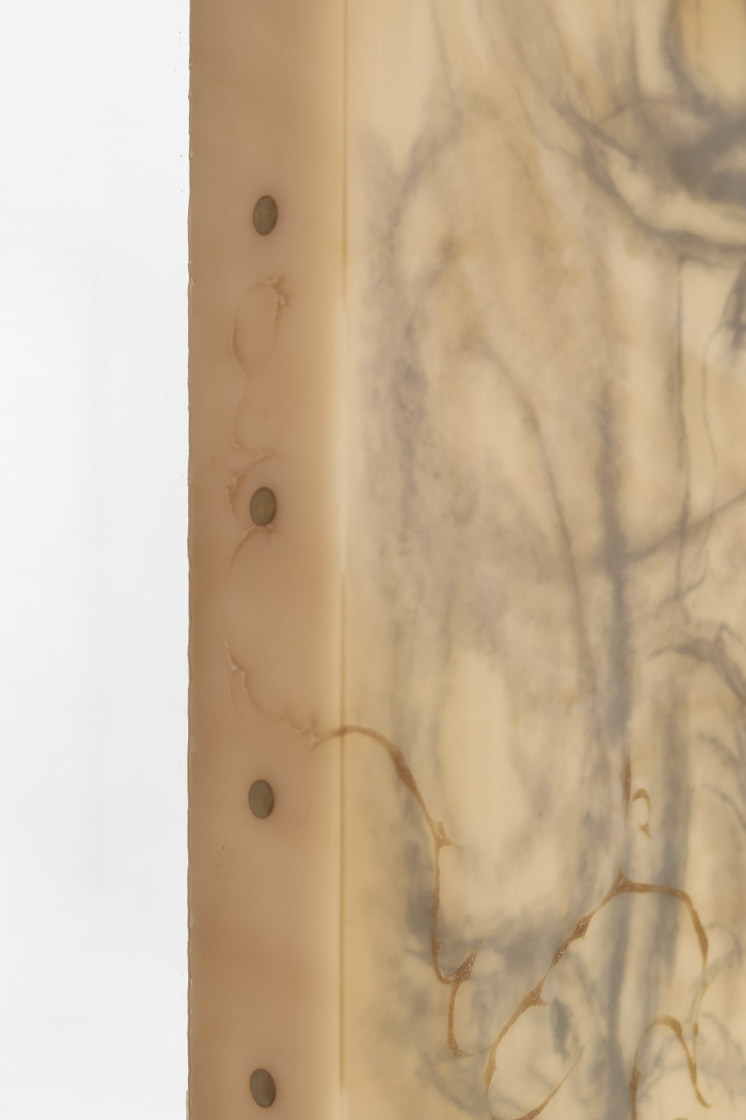 ASMA, La venganza del perro, el culo y la mirada (The revenge of the dog, the ass and the gaze), 2023