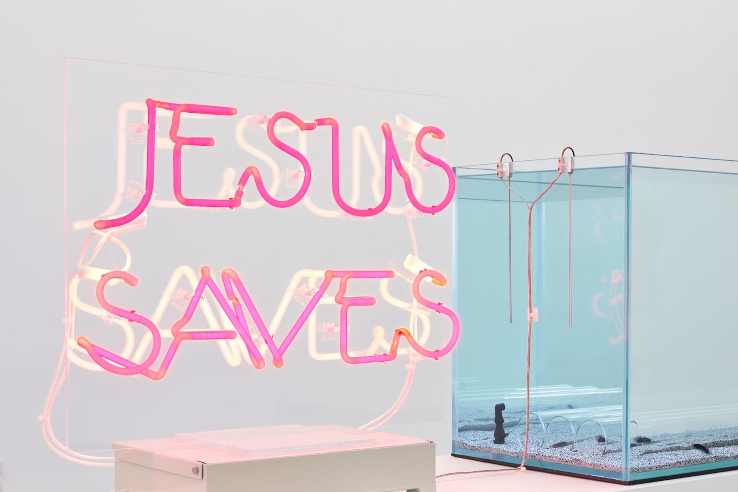 Max Hooper Schneider, DIALECTRIX: DIVISION APTERONOTUS (JESUS SAVES), 2020