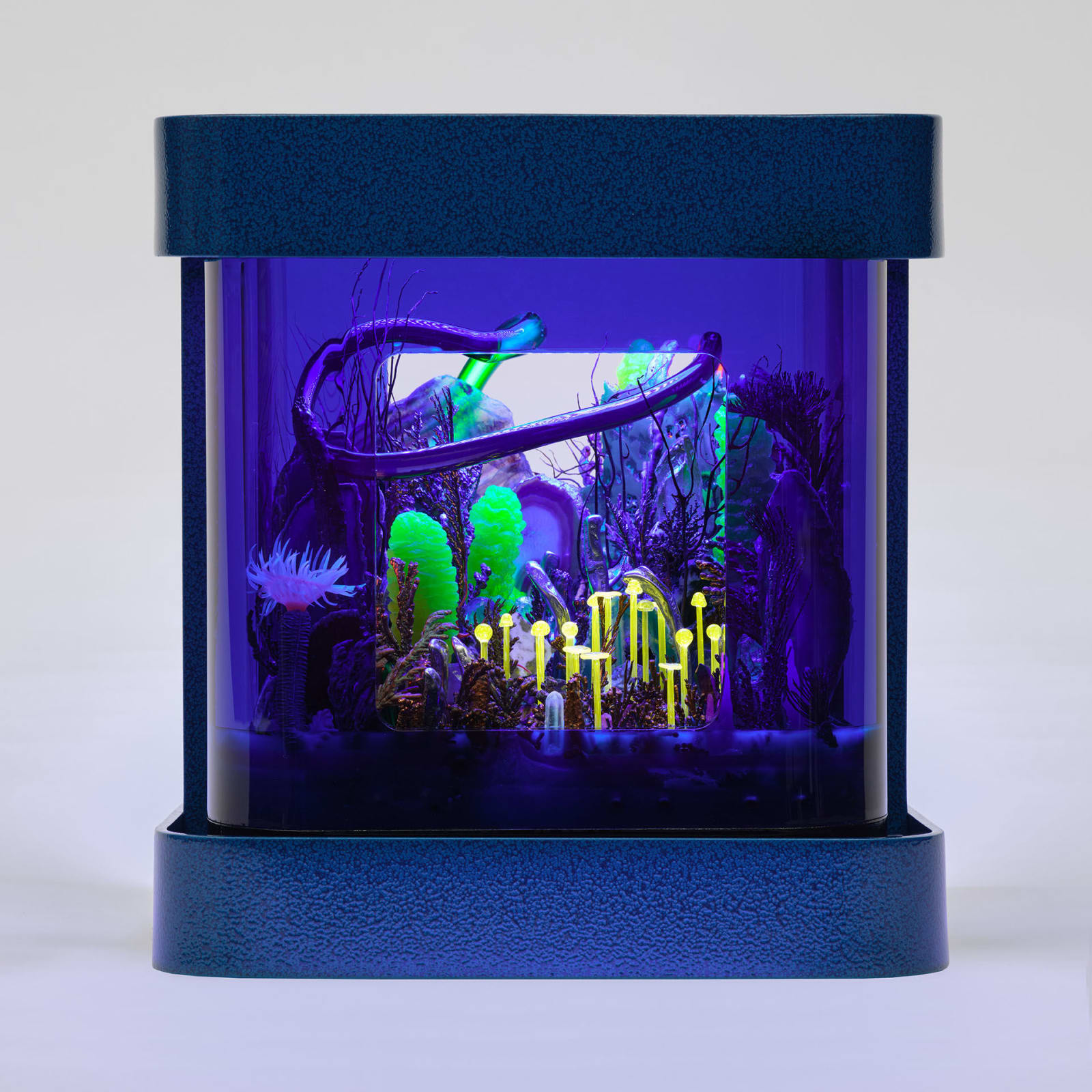 Max Hooper Schneider, SATURN ANAMNESIS, 2024