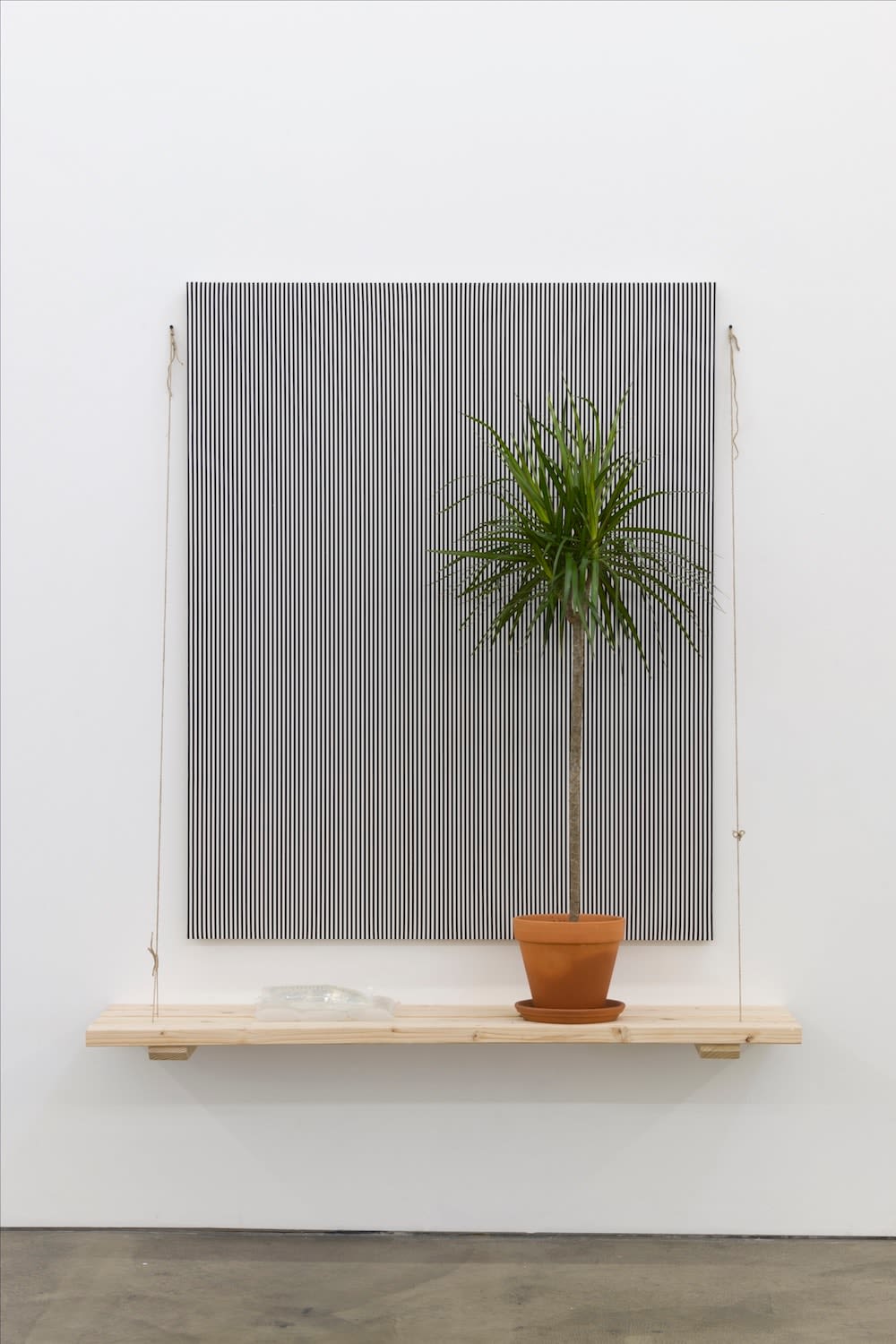 Davide Balula, Hide, train, rescue, 2018