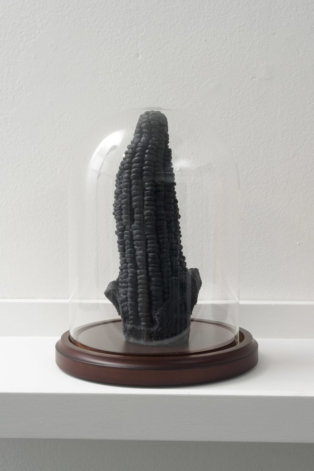 Candice Lin, Bird in space (pink, white, black), Queen Victoria (pink, white, black), Corn Hill (pink, white, black), 2012