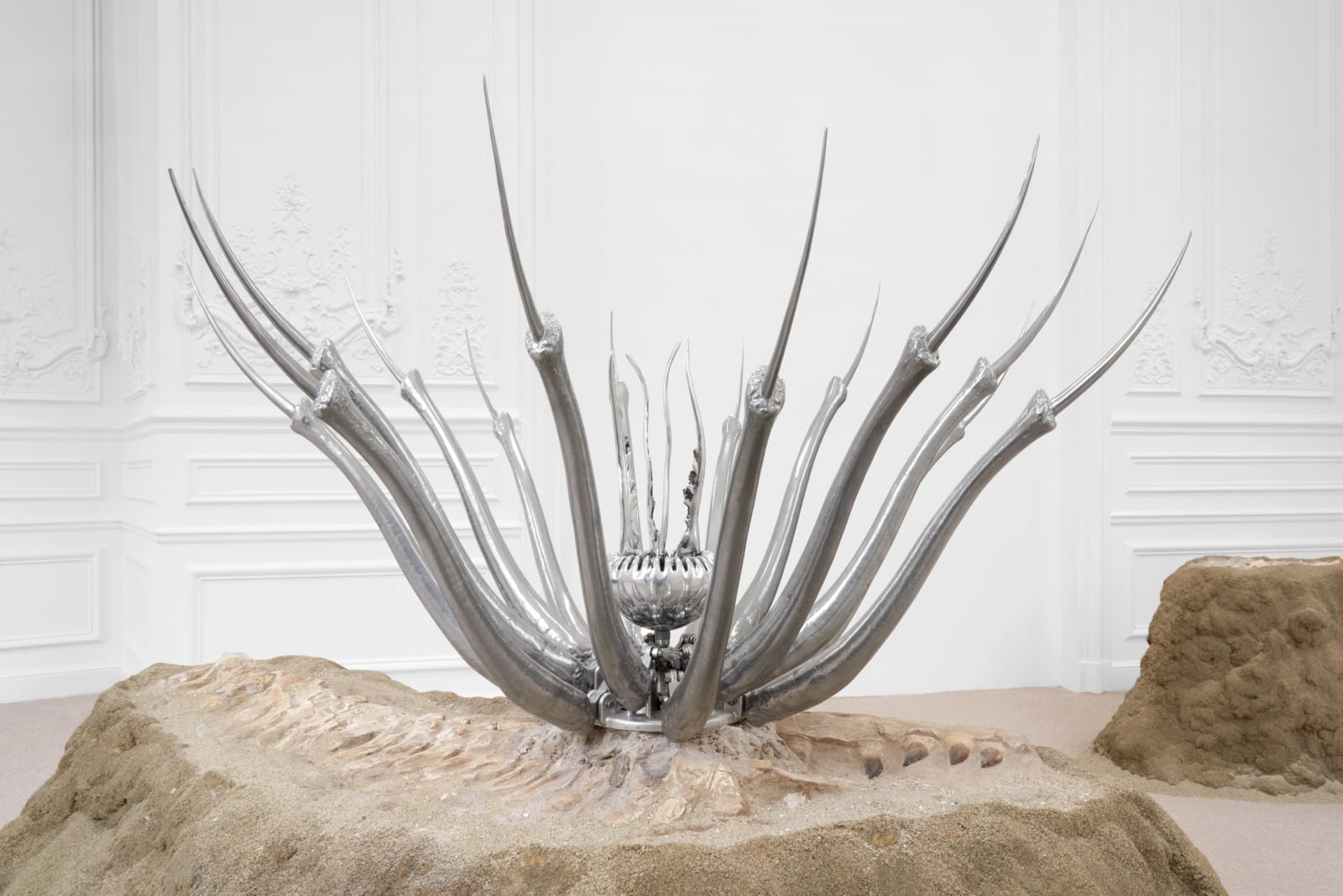 Max Hooper Schneider, Eocene Epizoon: Cnidarian Bacula, 2021