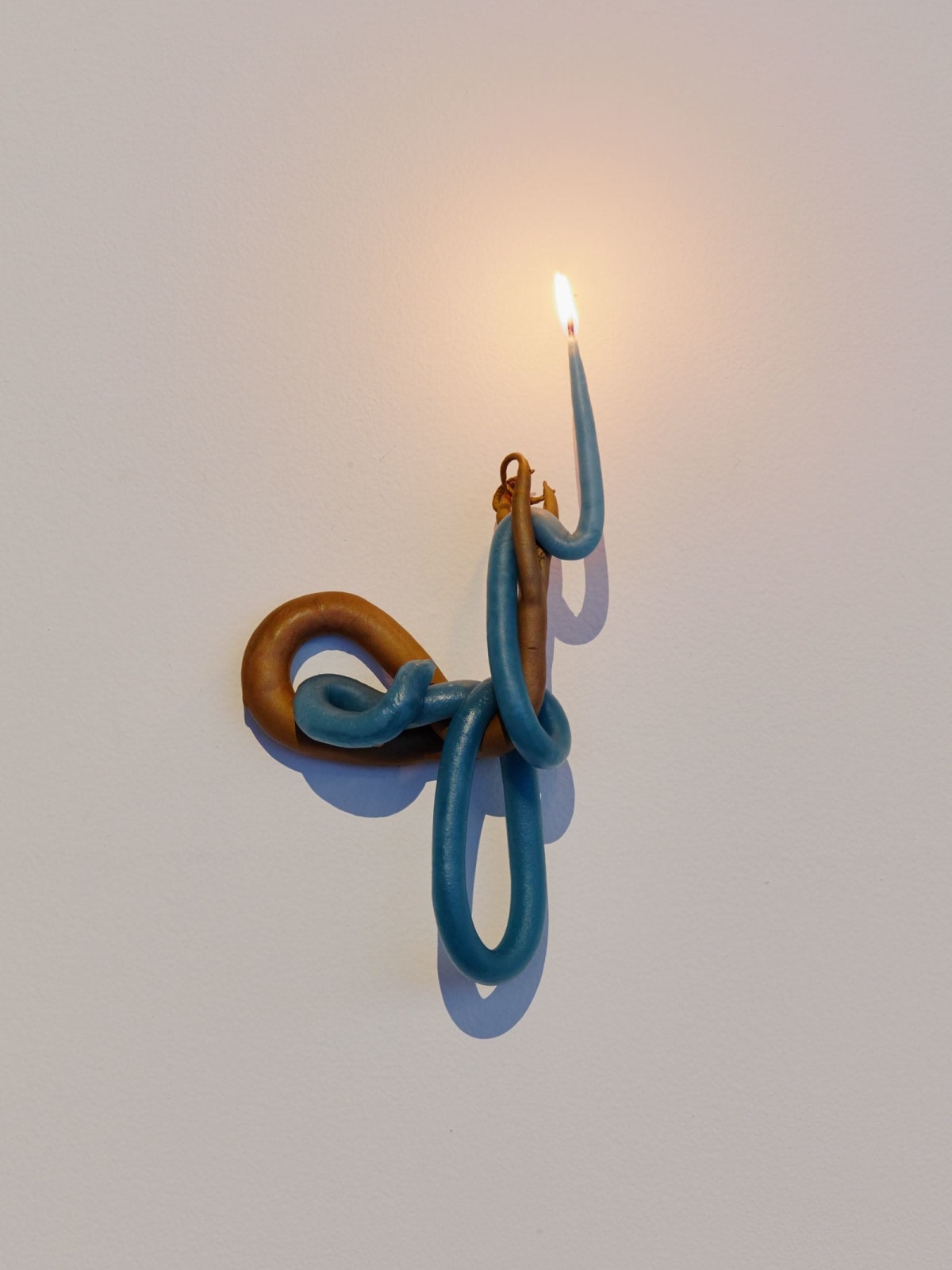 Kelly Akashi, Wall Candle (Tentacle), 2016