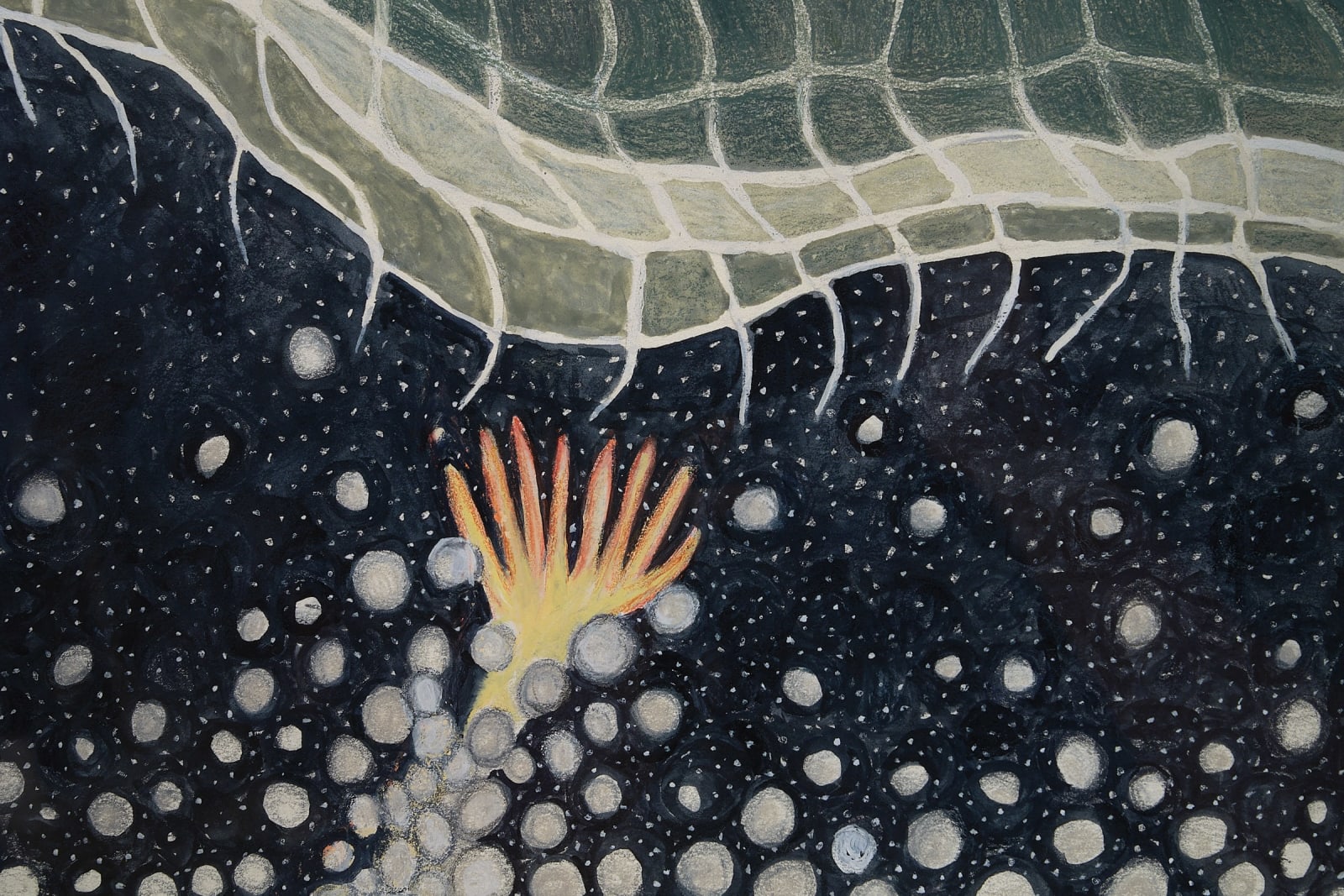 Ann Leda Shapiro, Tornado, 2023