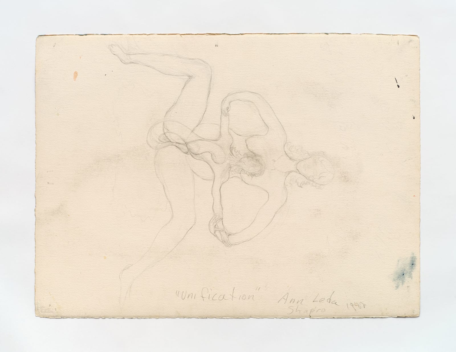 Ann Leda Shapiro, Union, 1982