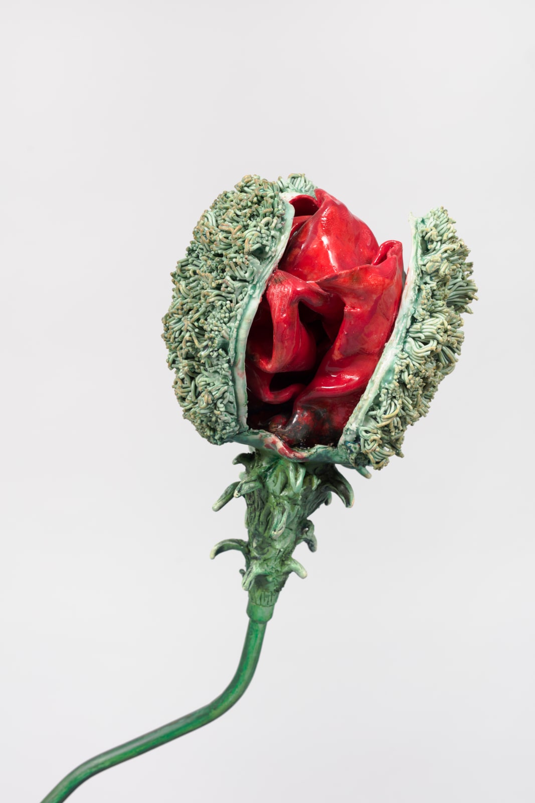 Rebecca Manson, Trampled Poppy, 2022