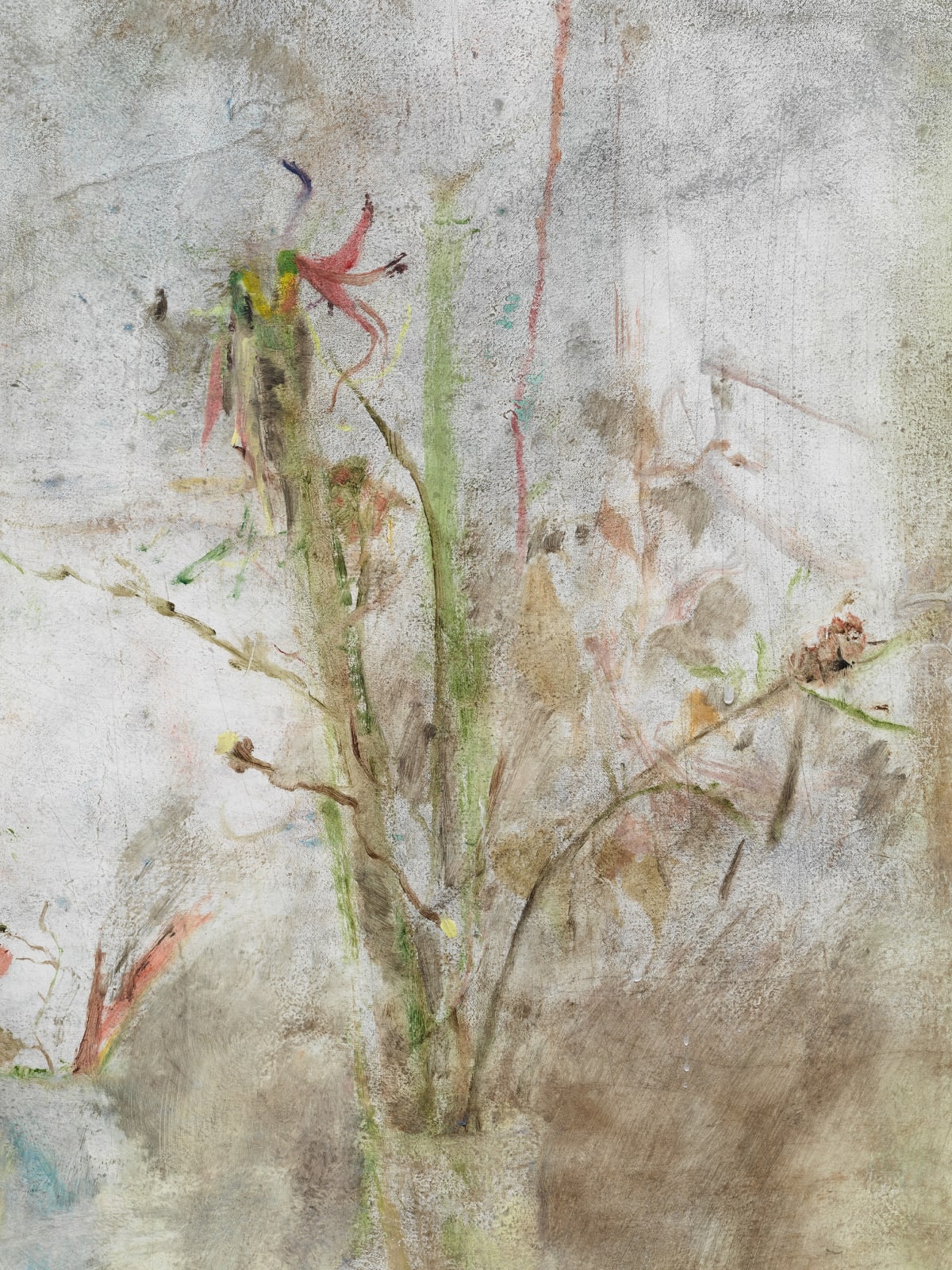 Willa Wasserman, Asters and other dead flowers in the mirror door, 2023