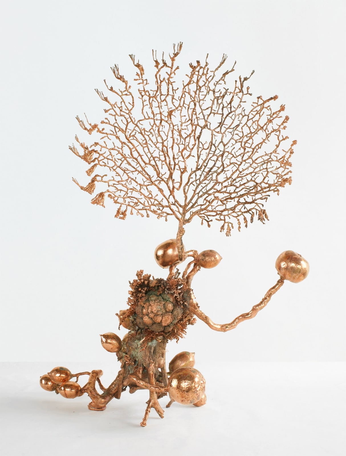 Max Hooper Schneider, Dendrite Bonsai (Orange Tree), 2024