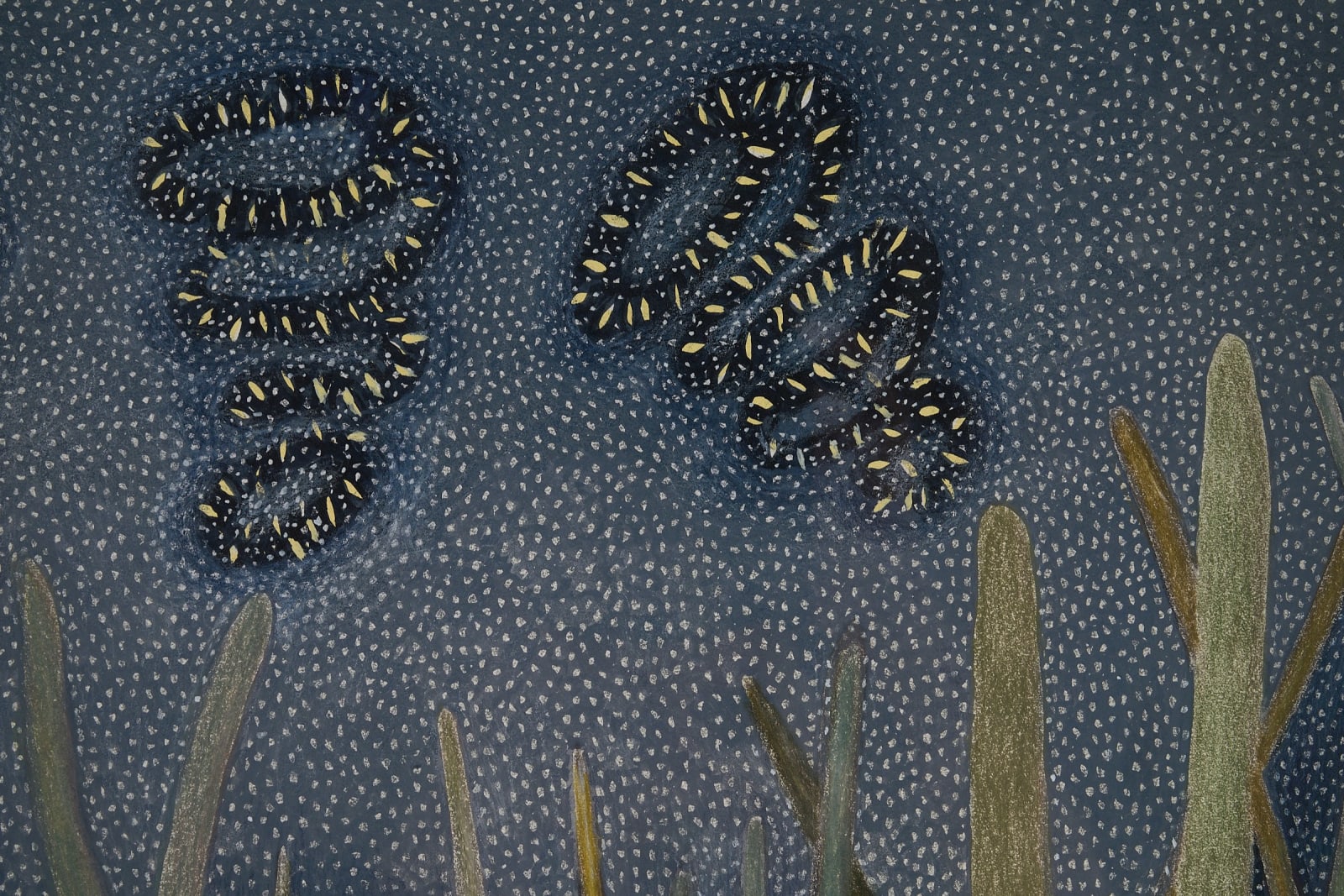 Ann Leda Shapiro, Istanbul Botanical Garden, 2023