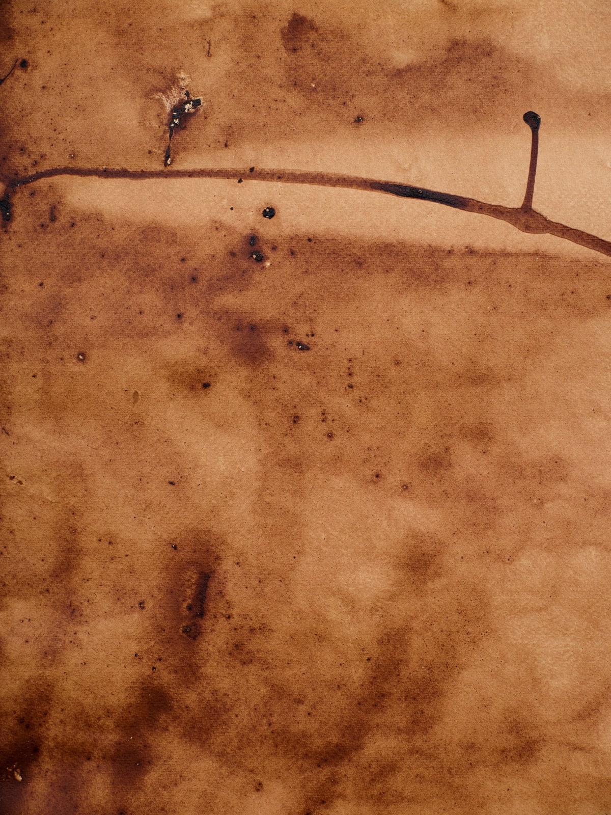 Teresa Margolles, Papeles de la Morgue, 2003