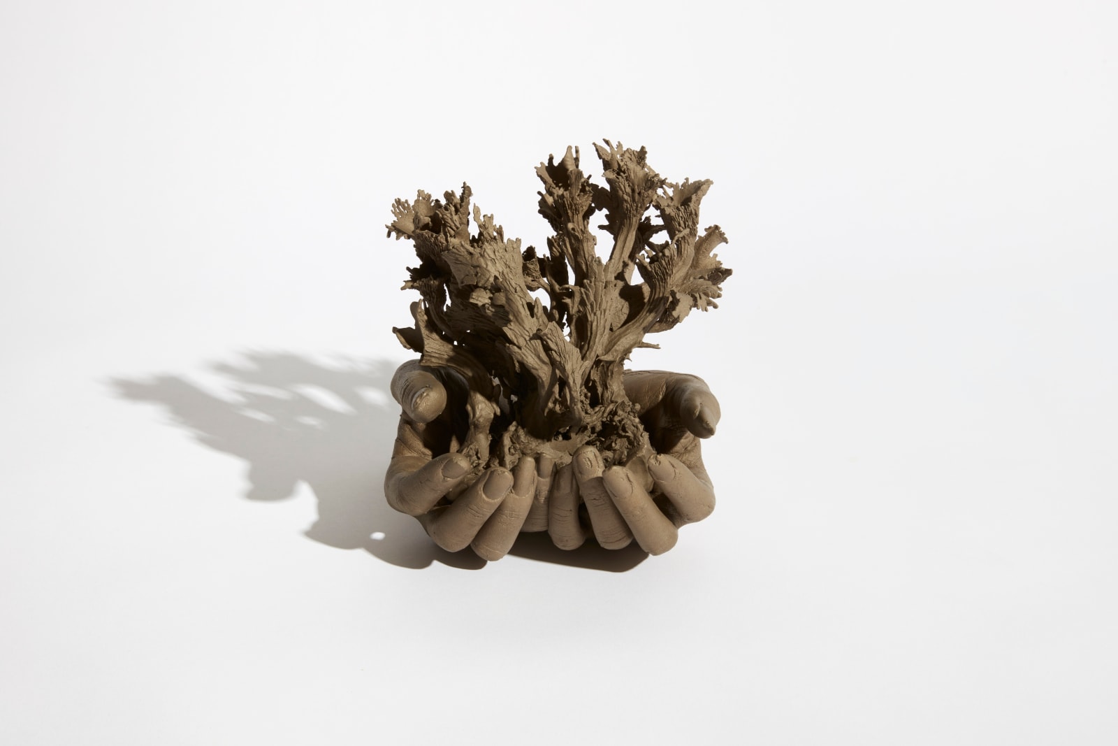 Kelly Akashi, Fruiting Life Forms, 2021
