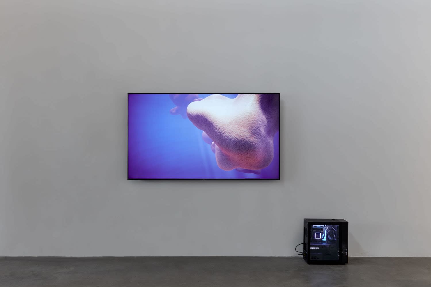 Rindon Johnson, May the moon meet us apart, may the sun meet us together, 2021