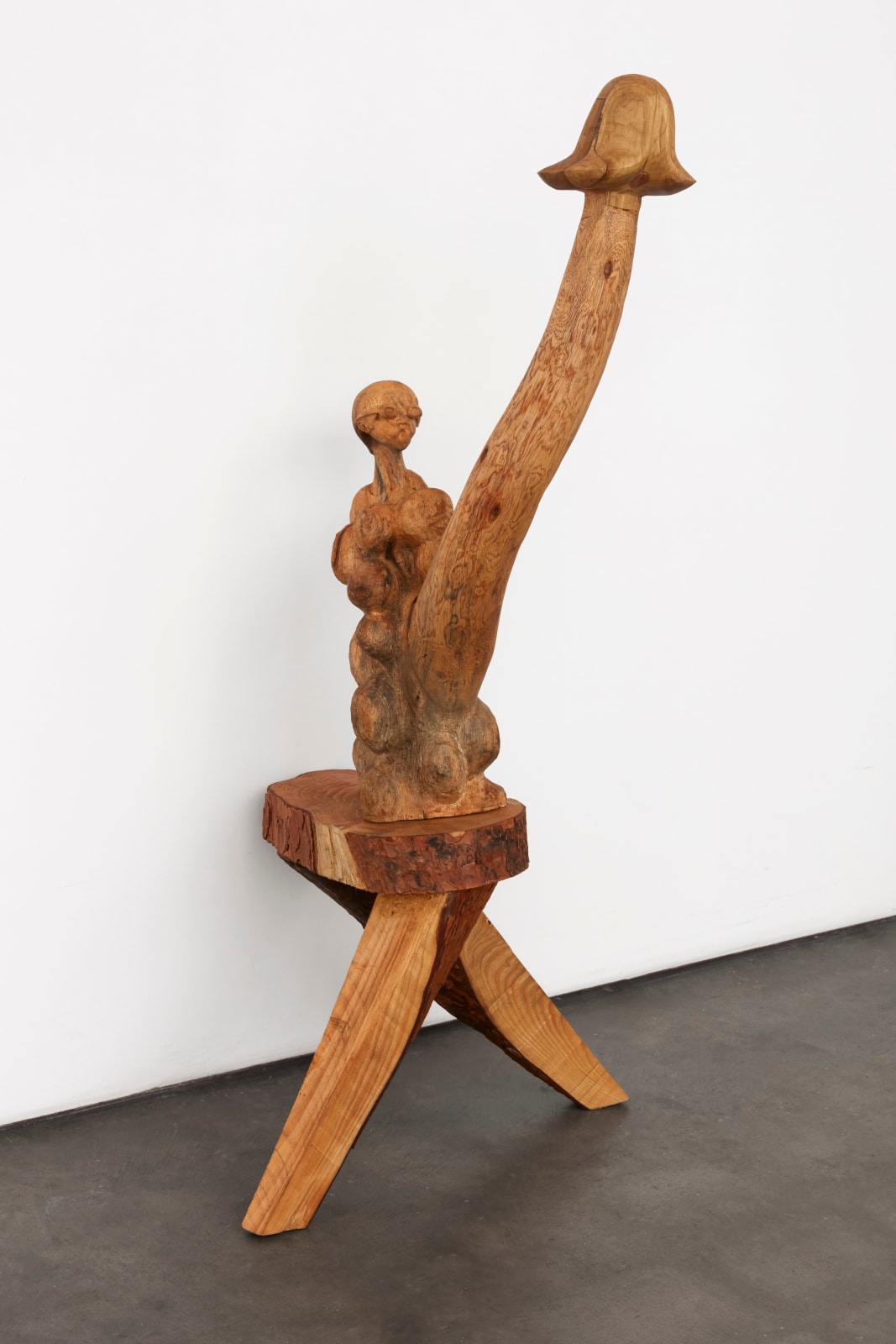 Emmanuel Louisnord Desir, The Outpatient, 2021