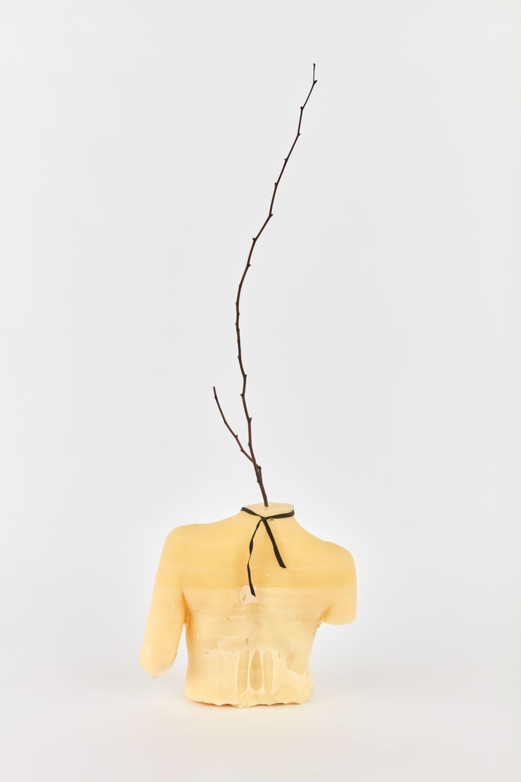 Kelly Akashi, Stratum, 2021