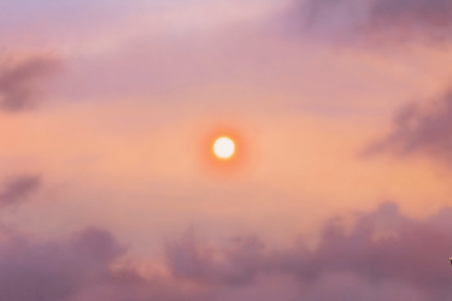 Sayre Gomez, The Medici.com, 2022