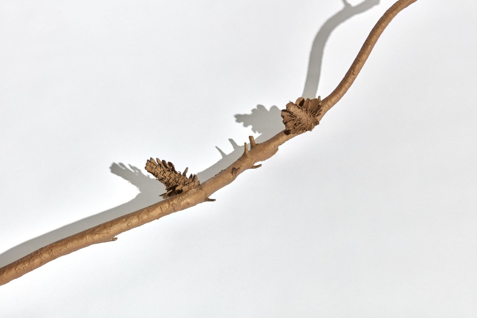 Kelly Akashi, Witness, 2021