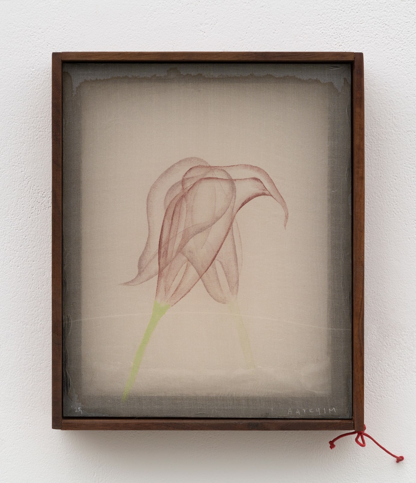 Joeun Kim Aatchim, Long Murmur, 2025