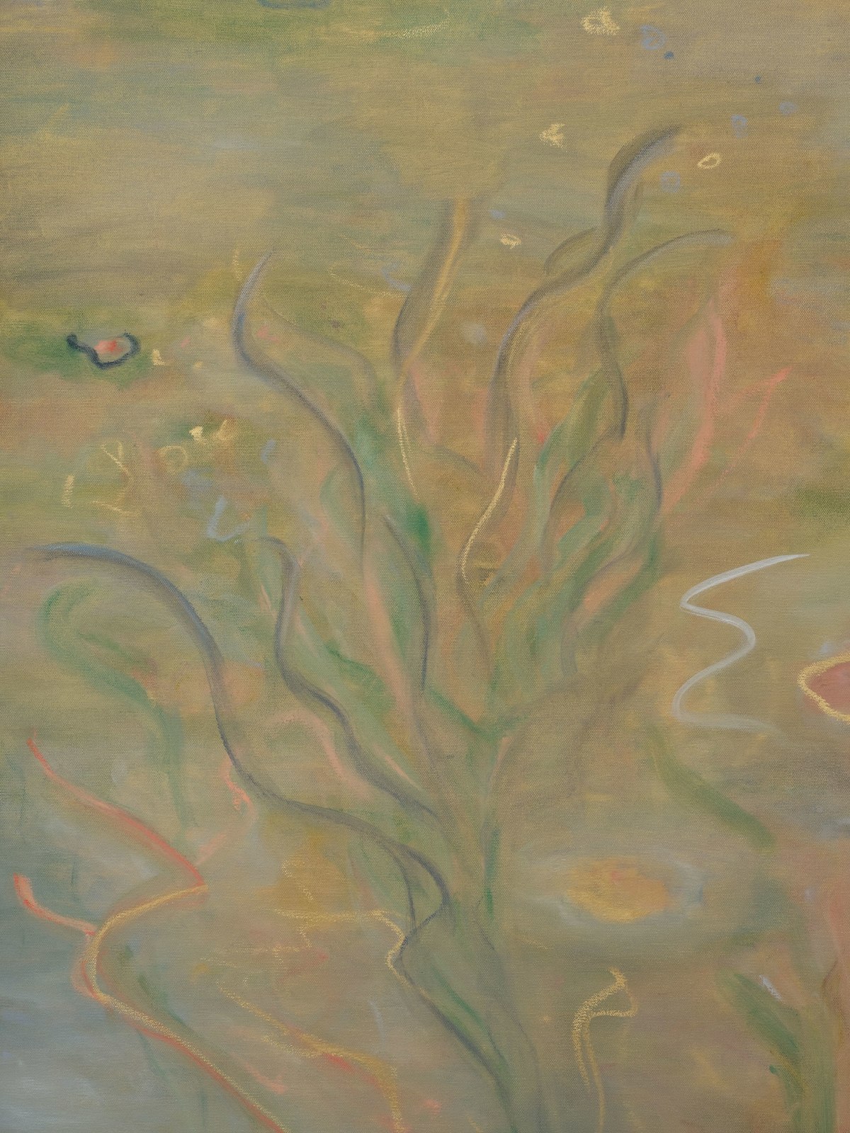 Ash Roberts, Anemone, 2025