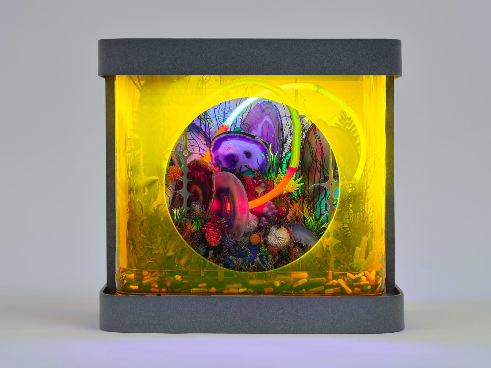 Max Hooper Schneider, Versicolor Mouth of the Counselor to the Gods, 2024