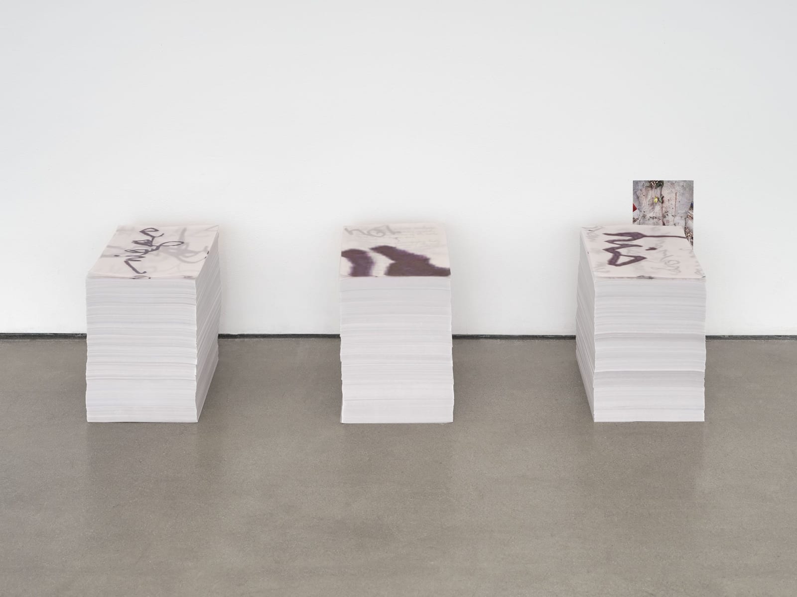 Mara Hassan, parliaments with tree on june 24, 2025, 2025