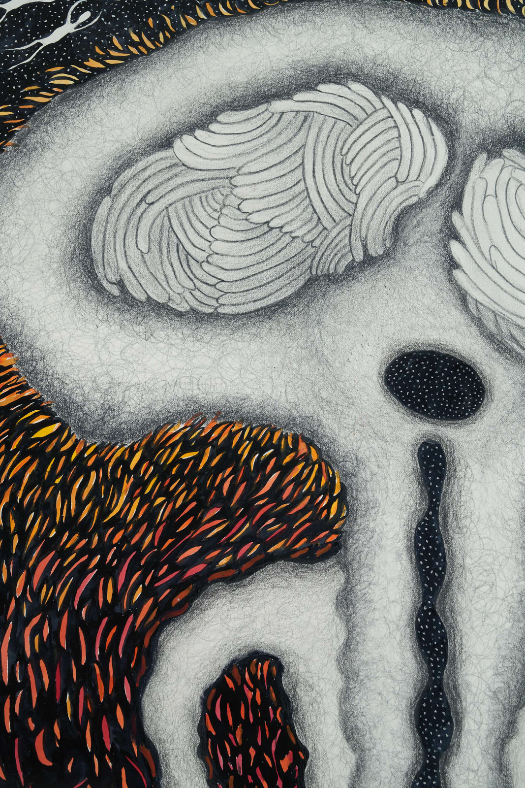 Ann Leda Shapiro, Split, 2018