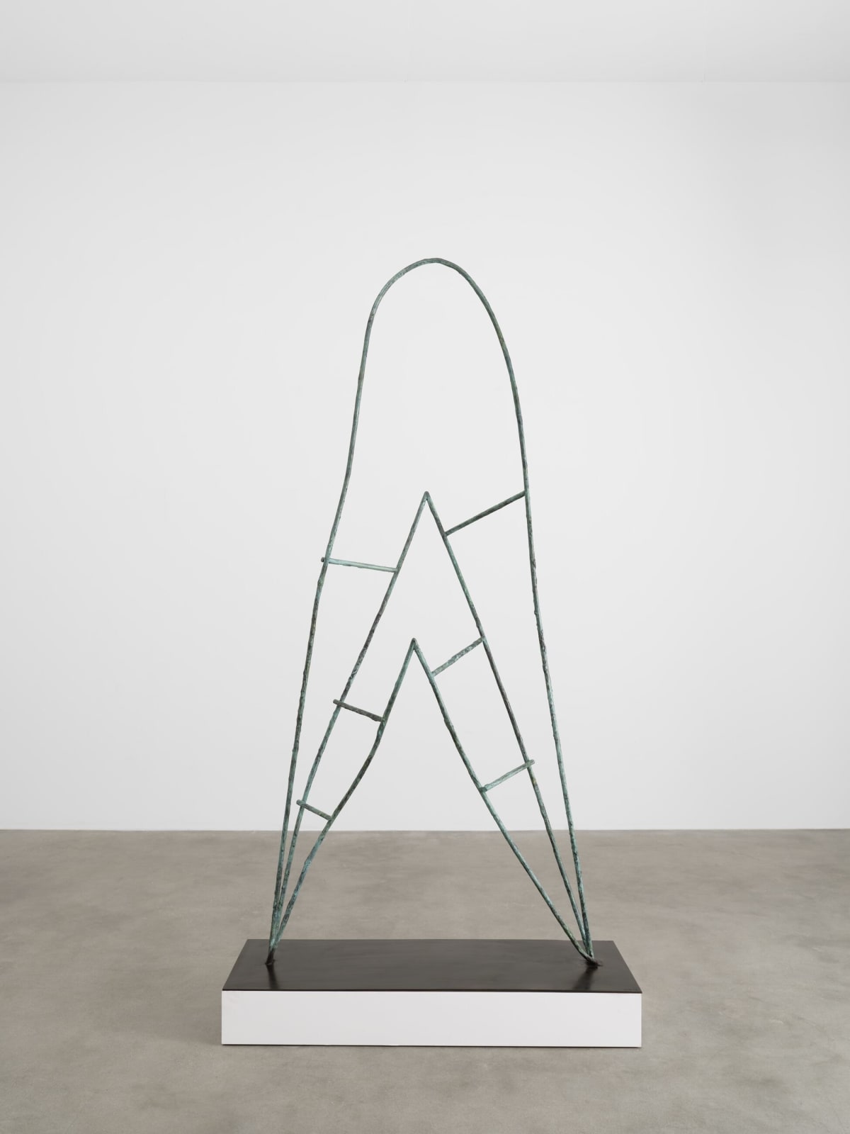 Camille Henrot, Amma's Door, 2014