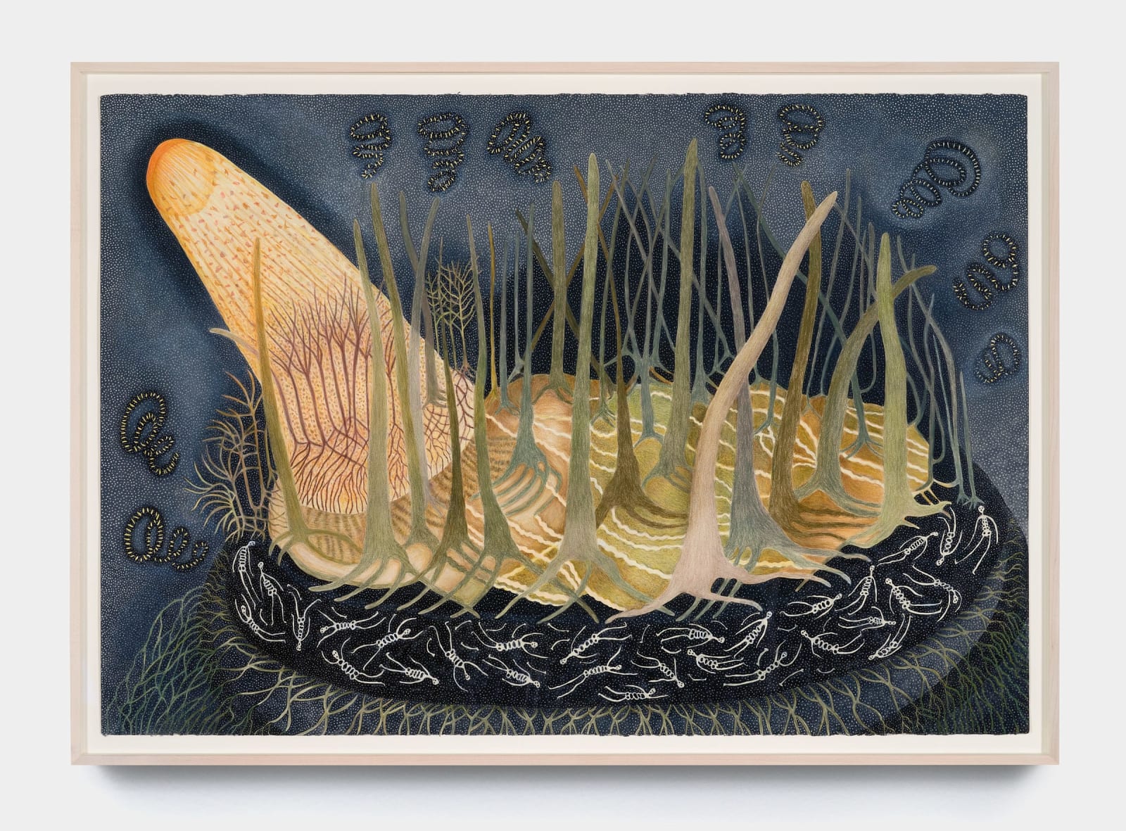 Ann Leda Shapiro, Istanbul Botanical Garden, 2023