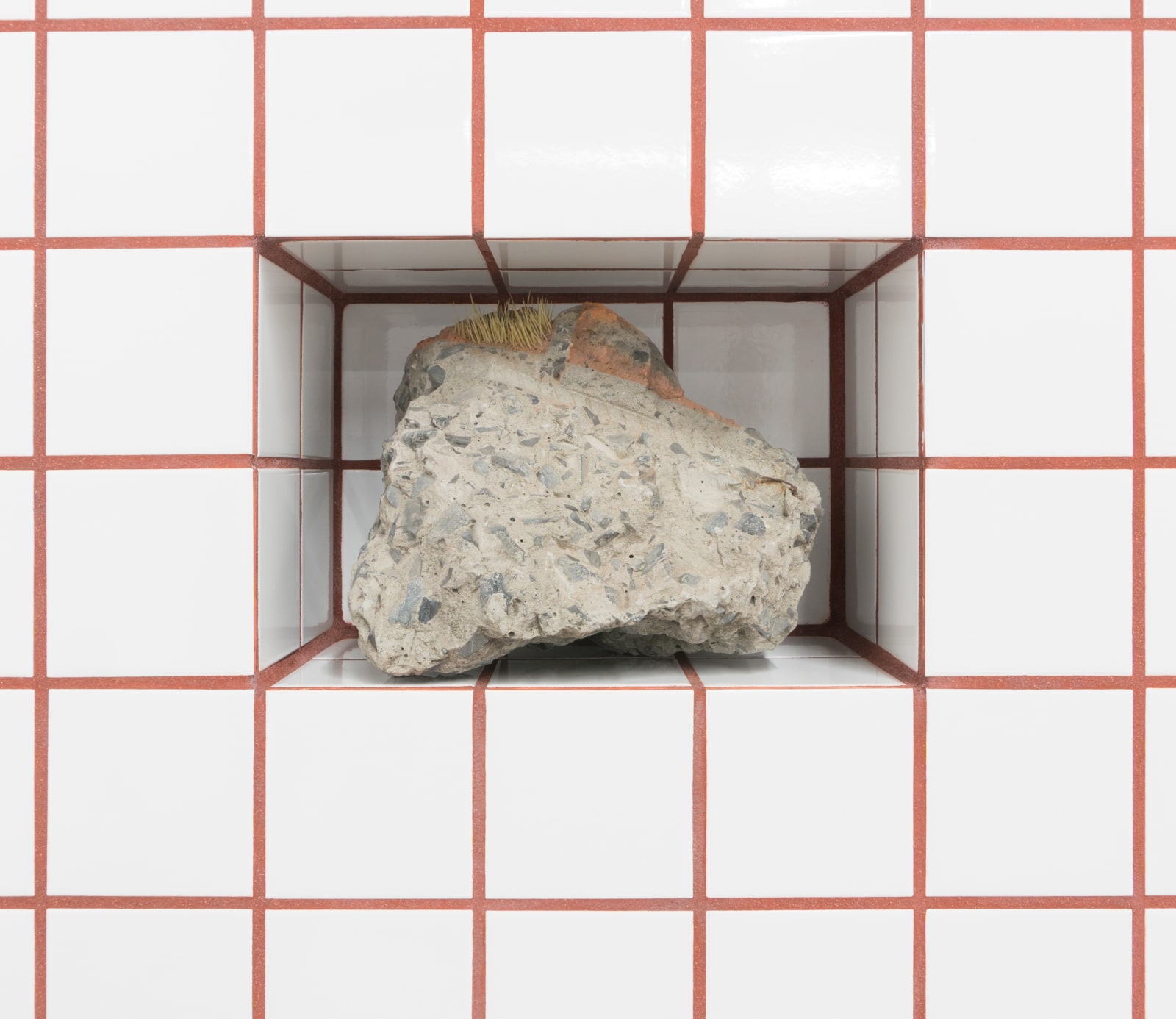 Zhang Ruyi, Planter–5, 2018