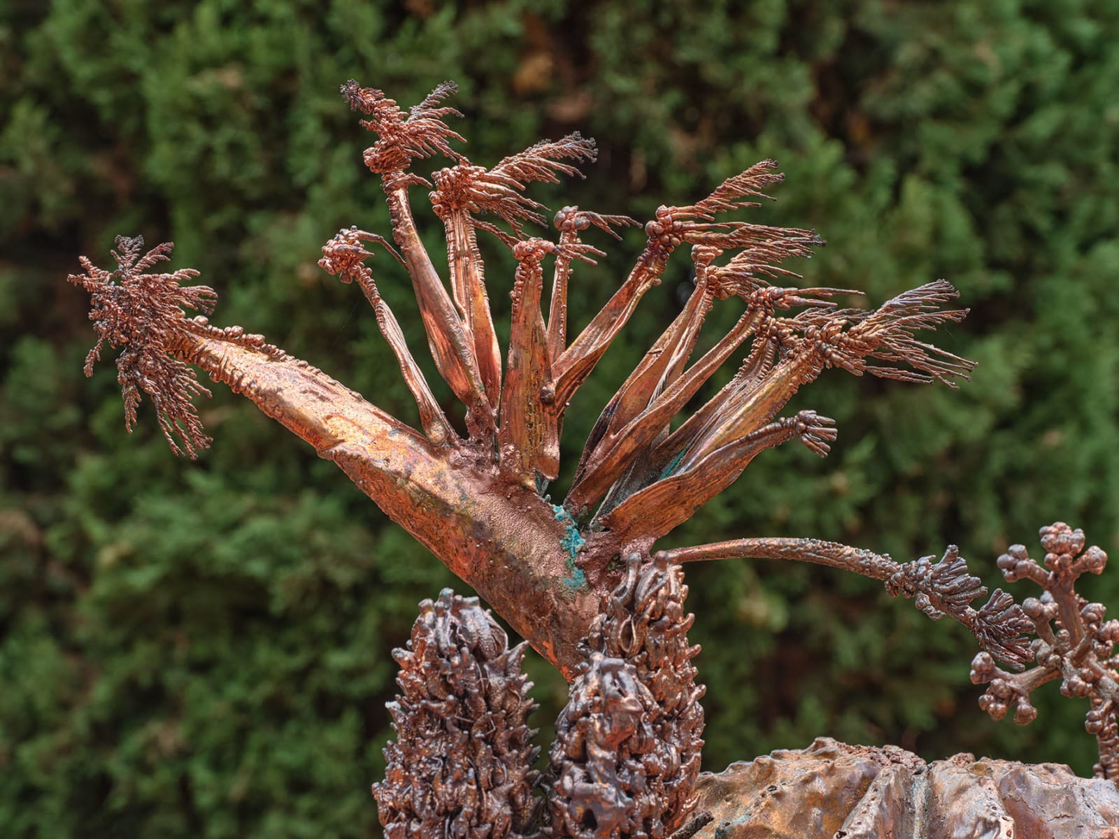 Max Hooper Schneider, Dendrite Grotesque (Rose and Magnolia), 2024