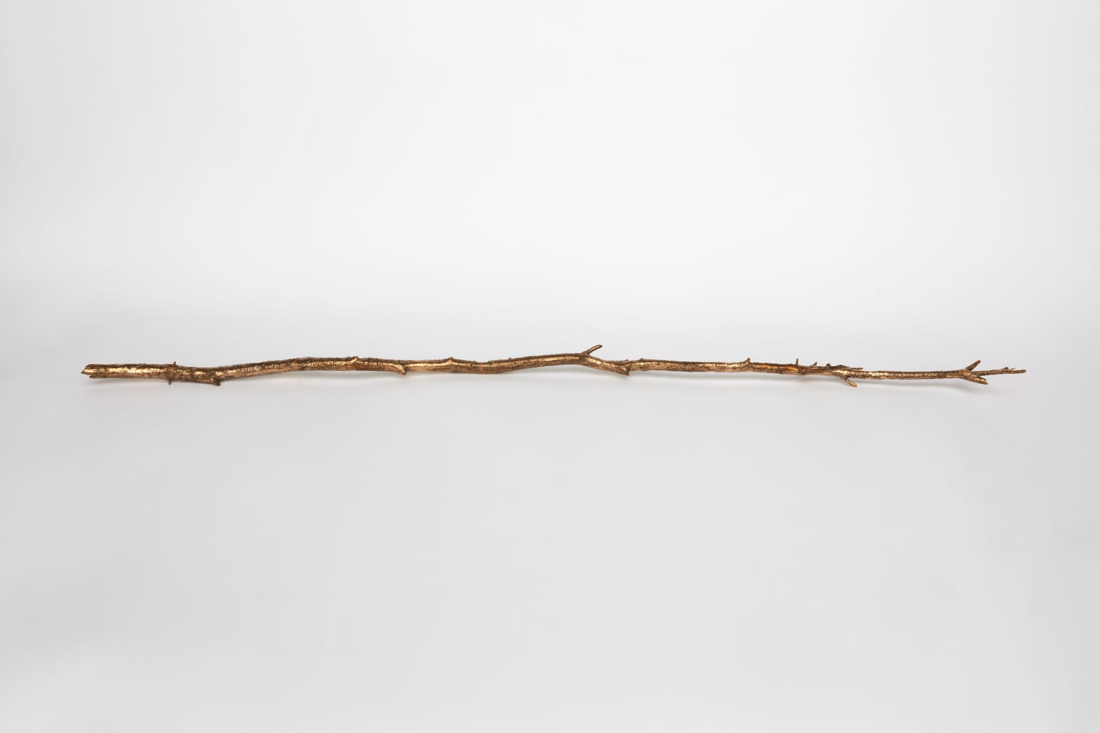 Kelly Akashi, Witness, 2021