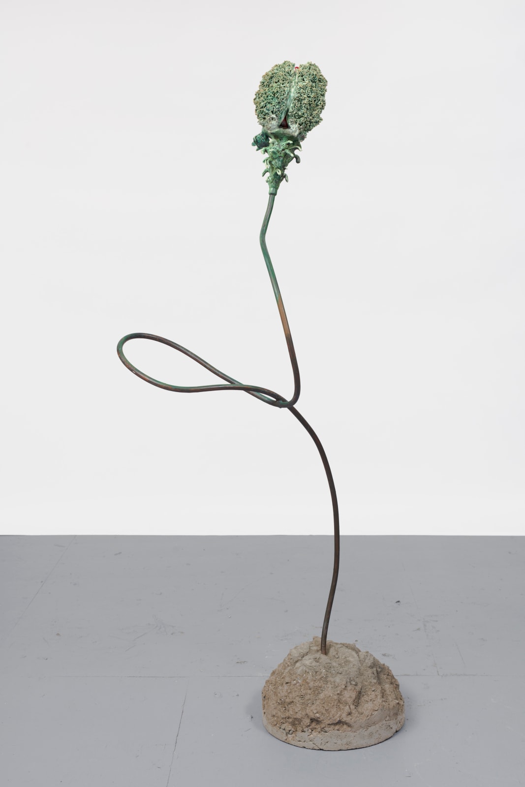 Rebecca Manson, Trampled Poppy, 2022