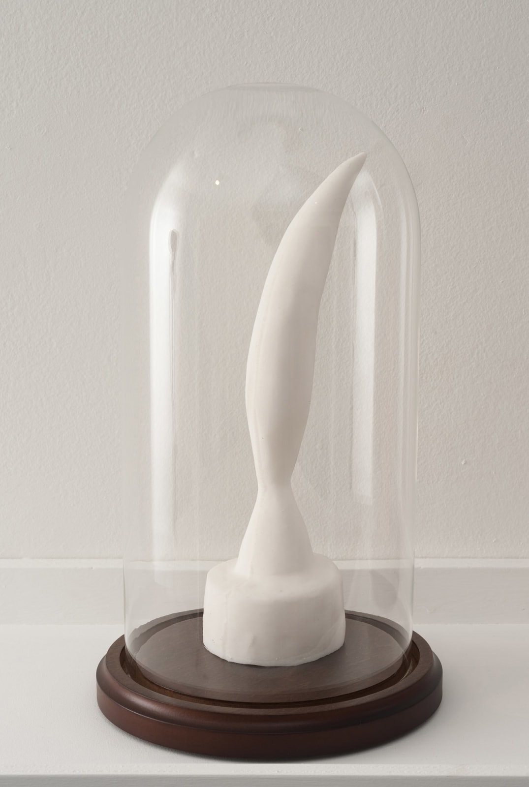 Candice Lin, Bird in space (pink, white, black), Queen Victoria (pink, white, black), Corn Hill (pink, white, black), 2012